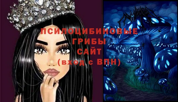 винт Гусев