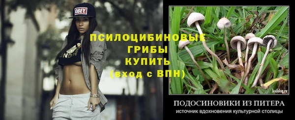 винт Гусев
