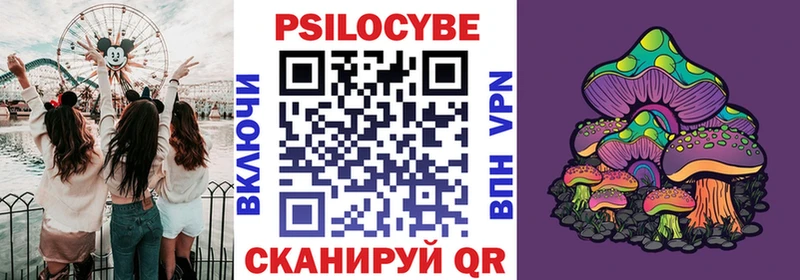 Псилоцибиновые грибы MAGIC MUSHROOMS  Каменка 